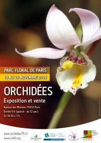 Exposition Orchidées Parc Floral de Paris Nov.2016. Du 18 au 20 novembre 2016 à PARIS12. Paris.  09H30